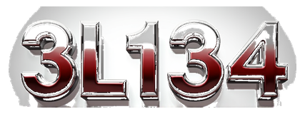 3l134 logo